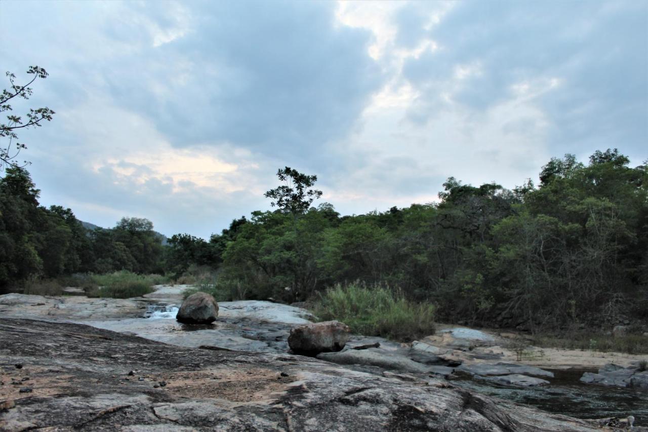 Lions Rock Rapids - Lodge Hazyview Eksteriør bilde